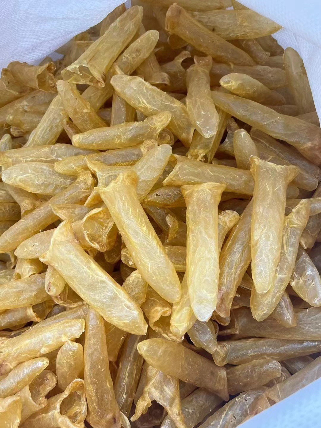 足干正品黃花筒魚(yú)膠 孕婦滋補(bǔ)與送禮佳品