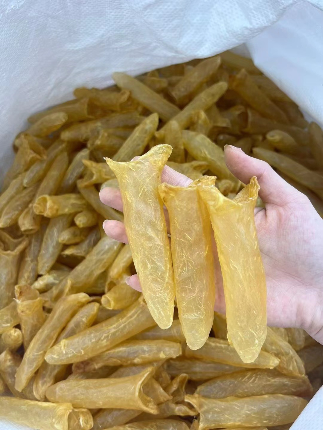 足干正品黃花筒魚(yú)膠 孕婦滋補(bǔ)與送禮佳品