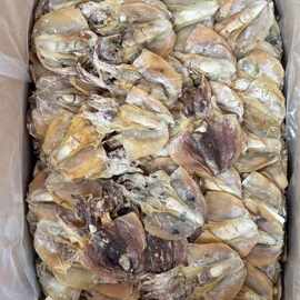 俄羅斯鮑魚(yú) 優(yōu)質(zhì)海味干貨批發(fā)指南