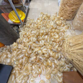 緬甸魚(yú)膠 海味干貨批發(fā)的珍寶