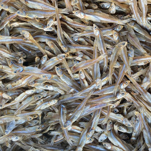 北海銀魚(yú)仔 鮮美海味，干貨之選——最新批發(fā)報(bào)價(jià)與市場(chǎng)指南
