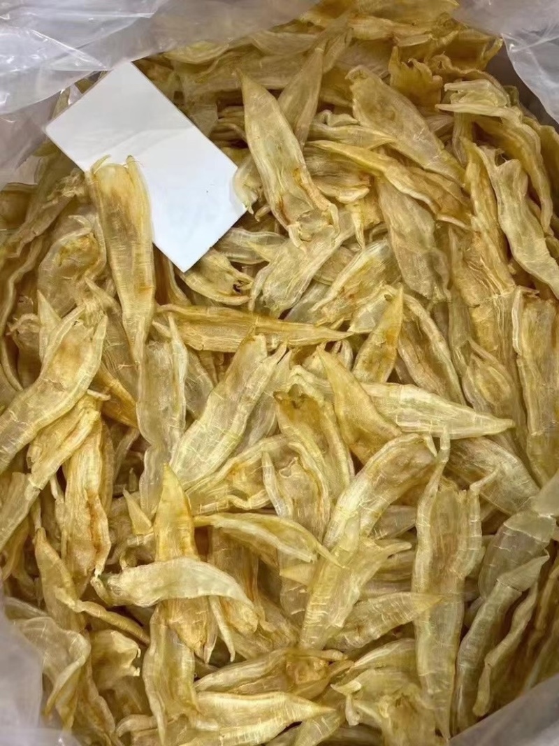 海味干貨批發(fā)指南 雙背膠清水貨魚膠、花膠金龍膠與北海赤鳘魚膠的甄選之道