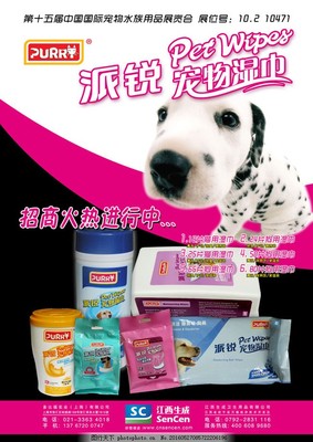 寵物用品海報(bào)設(shè)計(jì)模板 創(chuàng)意與實(shí)用的完美結(jié)合