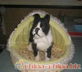 寵物用品庫存管理全攻略 為愛寵備足糧草，讓經(jīng)營更從容