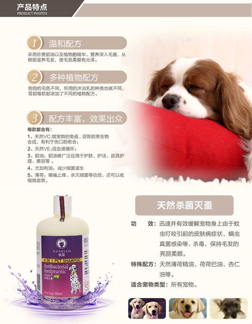 雪貂狗香波補(bǔ)鈣套裝 專業(yè)寵物護(hù)理，守護(hù)愛犬健康